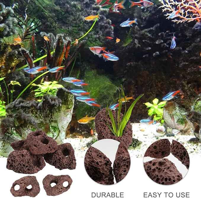Lava Rock, 6PCS Aquarium Volcanic Stone Plant Fixer Ornaments, Double-Hole Fish Tank Rocks Ornament for Aquascaping, Fish Tank, Terrarium and Landscape Design