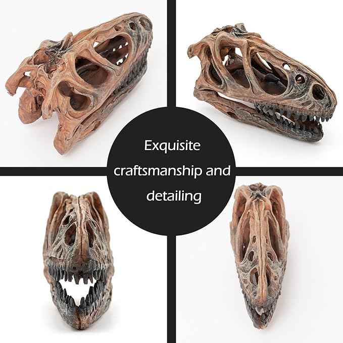 Fish Hideout Aquarium Décor Decorations Dinosaur Skull Fish Tank Decor Cave Dinosaur Skull Betta Animal Halloween Large Tarantula Reptile Bones Snake for Terrarium Ornament
