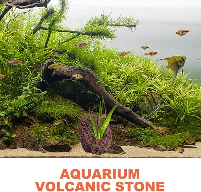 Lava Rock, 6PCS Aquarium Volcanic Stone Plant Fixer Ornaments, Double-Hole Fish Tank Rocks Ornament for Aquascaping, Fish Tank, Terrarium and Landscape Design