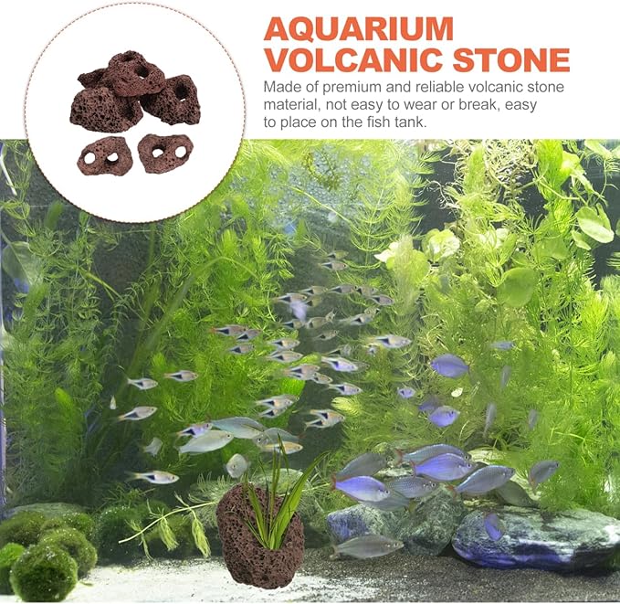Lava Rock, 6PCS Aquarium Volcanic Stone Plant Fixer Ornaments, Double-Hole Fish Tank Rocks Ornament for Aquascaping, Fish Tank, Terrarium and Landscape Design