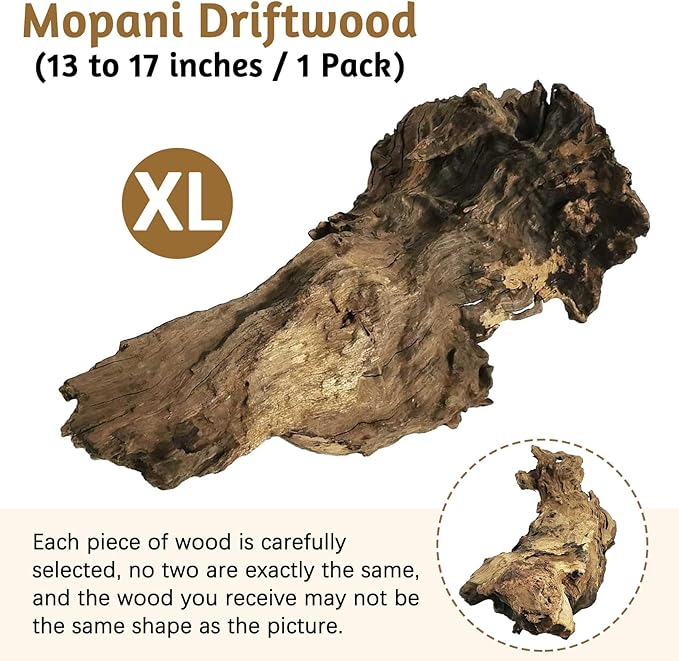 Large Natural Aquarium Driftwood (13"-17")