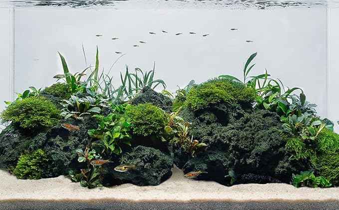 LANDEN Black Lava Stones (16lbs,3~10inch,11pcs) for Aquascaping Terrariums, Paludarium, Vivariums, Reptile and Amphibian Enclosures