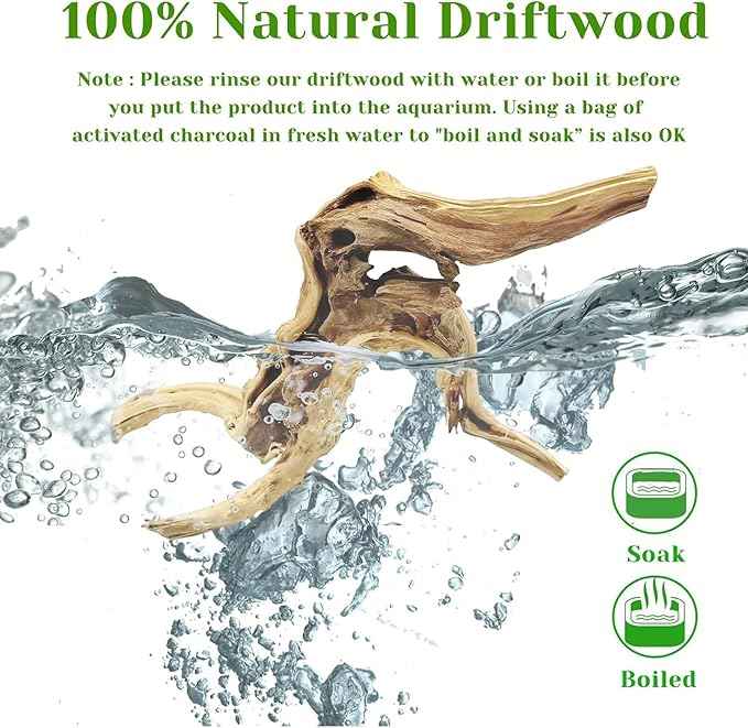 Driftwood, 11-13 inch Branches for Terrariums, Aquarium Decoration Pack of 2