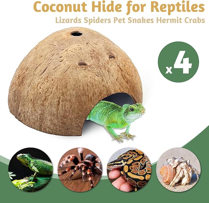 4 PCS Natural Coconut Reptile Hideouts for Frogs, Lizards, Spiders