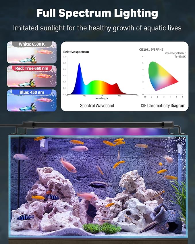 Pawfly 5 Gallon Fish Tank Ultra Clear Rimless Glass Aquarium Kit with Extendable LED Light Internal Filter Magnetic Brush & Thermometer Stickers Rectangular Glass Fish Tank Kit for Bettas, Shrimp, Plants