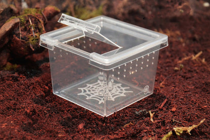 Clear Micro Hatchling & Invertebrate Enclosures with Easy-Feed Ports