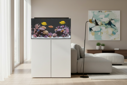 Reef Ready 50-Gallon AIO System