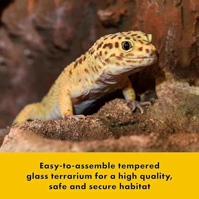 Zilla QuickBuild Reptile 10 Gallon Glass Terrarium Habitat with Bedding Tray For Geckos, Snakes, Lizards, Frogs, Turtles, and Tortoises, 20" x 12" x 10"