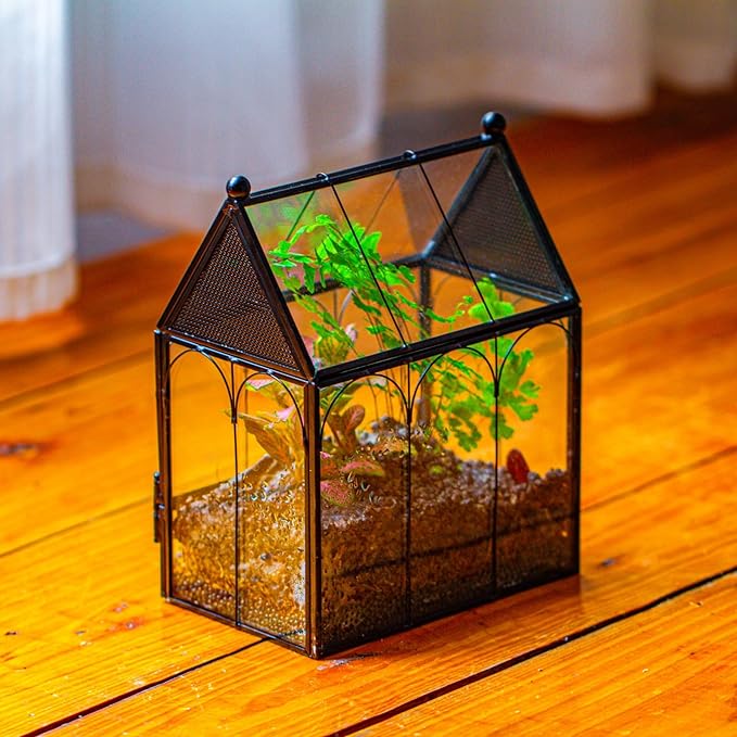 Small Glass Spider Enclosure with Mesh for Jumping Spiders, Snails, Micro House Shaped Front Opening Plant Terrarium, 5.8" x 3.8" x 7" (Terrarium Only)