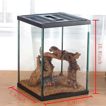 Small Vertical Insect Glass Terrarium, 7.8x7.8x10.8''