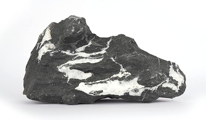 LANDEN Dark SEIRYU Stones Natural Rocks (17lbs, 3~11 inches,7-8pcs) for Aquarium, Paludarium, Terrariums, Landscaping Rocks, Decorative Aquarium Rocks