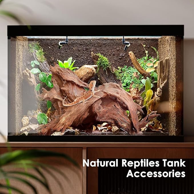 Small Aquarium Driftwood for Fish Tanks & Reptile Terrariums – 100% Safe Fish Tank Decorations, Unique Twisted Branches 5-Piece 4-8 Inch Low Tannin, Easy to Sink