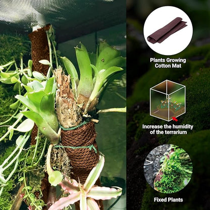 67 Gallon Reptile Terrarium with Supplies