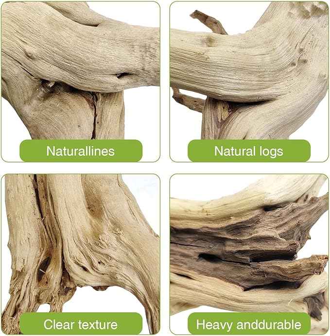 Driftwood, 11-13 inch Branches for Terrariums, Aquarium Decoration Pack of 2