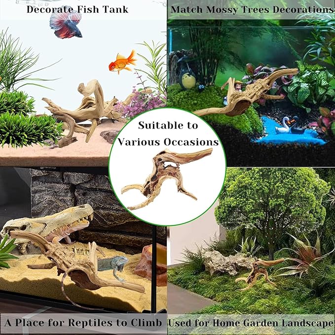 Driftwood, 11-13 inch Branches for Terrariums, Aquarium Decoration Pack of 2