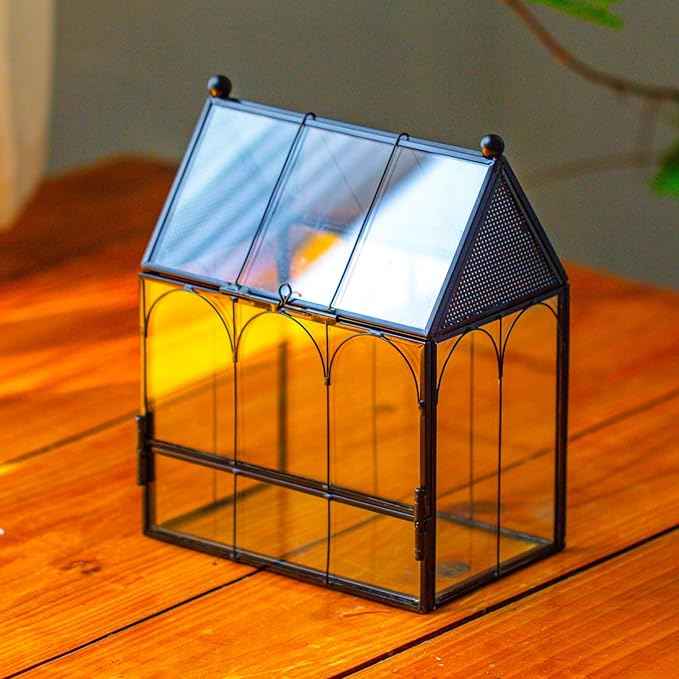 Small Glass Spider Enclosure with Mesh for Jumping Spiders, Snails, Micro House Shaped Front Opening Plant Terrarium, 5.8" x 3.8" x 7" (Terrarium Only)