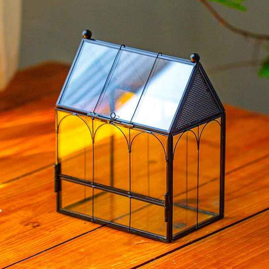 Small Glass Spider Enclosure with Mesh for Jumping Spiders, Snails, Micro House Shaped Front Opening Plant Terrarium, 5.8" x 3.8" x 7" (Terrarium Only)