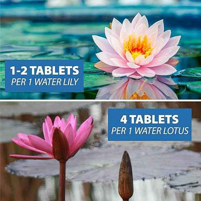 CrystalClear Thrive Aquatic Pond Plant Food, Fish Safe Water Garden Fertilizer, Nutrients Boost Lily & Lotus Flower Bloom & Root Growth, 30 Tablets