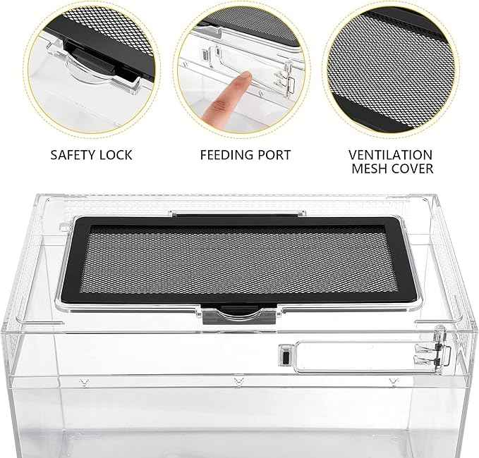 Reptile PC Terrarium Amphibian Tank Spider Enclosure Snake Cage 7x11.8x5.9inch Suitable for breeding Leopard Gecko,Frog,Hermit Crab,Lizards,Isopod,Tarantula,Turtles,Chameleons,Jumping Spiders