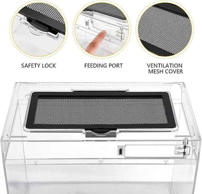 Reptile PC Terrarium Amphibian Tank Spider Enclosure Snake Cage 7x11.8x5.9inch Suitable for breeding Leopard Gecko,Frog,Hermit Crab,Lizards,Isopod,Tarantula,Turtles,Chameleons,Jumping Spiders