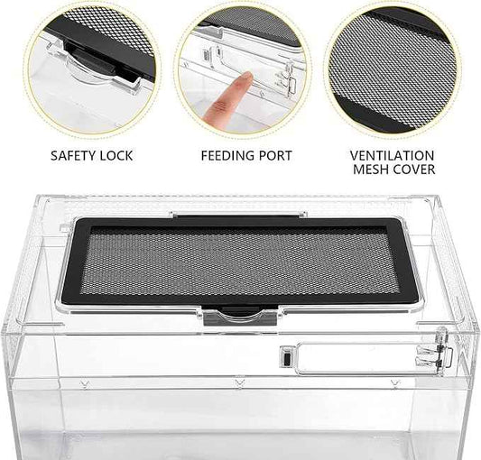 Reptile PC Terrarium Amphibian Tank Spider Enclosure Snake Cage 7x11.8x5.9inch Suitable for breeding Leopard Gecko,Frog,Hermit Crab,Lizards,Isopod,Tarantula,Turtles,Chameleons,Jumping Spiders