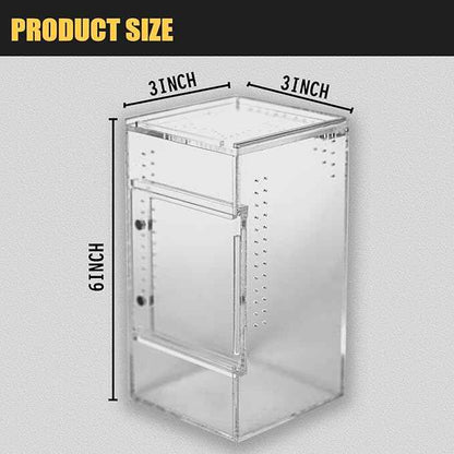 Small Jumping Spider Enclosure