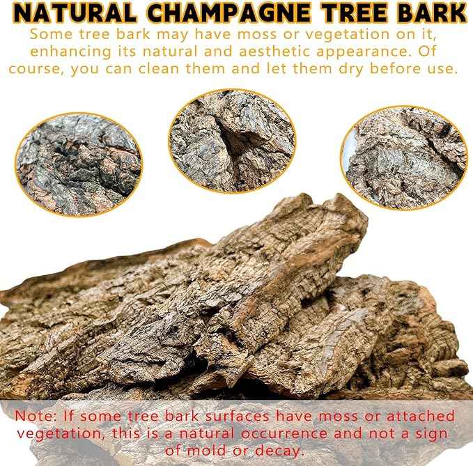 Natural Cork Bark for Terrariums, Habitats, and Enclosures (1.4 LB)