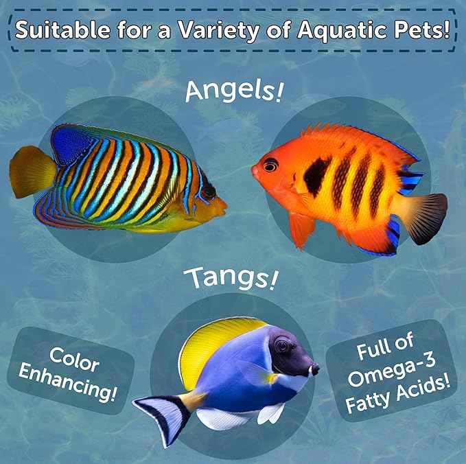 Aquatic Foods Inc. Marine Fish Flakes of Red & Green Algae, Seaweed for Tangs, Butterflies, Angelfish, Anthias, Clown Fish, Damsels Also Pellet Mix, Wafer Mix Included… AFI 6oz Jar