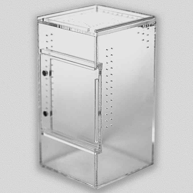 Small Jumping Spider Enclosure