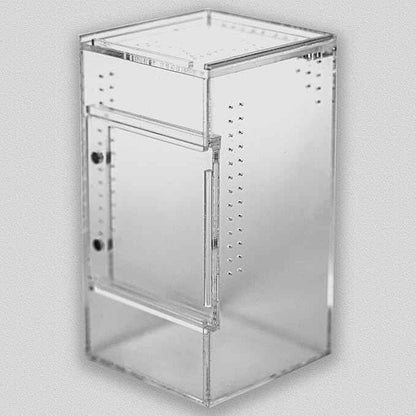 Small Jumping Spider Enclosure