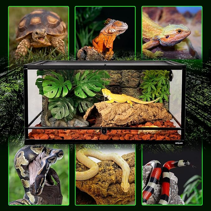 REPTIZOO 36" x 24" x 18" Glass Reptile Terrarium, Front Opening Reptile Habit Tank with Double Hing Doors, Knock-Down Terrarium with Top Screen Ventilation 68 Gallon