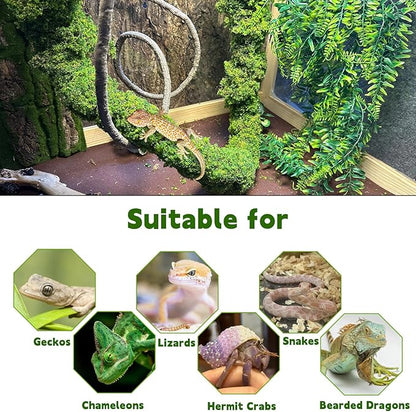 Flexible Rainforest Vines with Moss Set