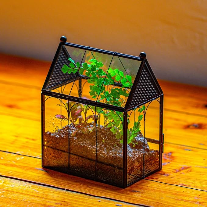 Small Glass Spider Enclosure with Mesh for Jumping Spiders, Snails, Micro House Shaped Front Opening Plant Terrarium, 5.8" x 3.8" x 7" (Terrarium Only)
