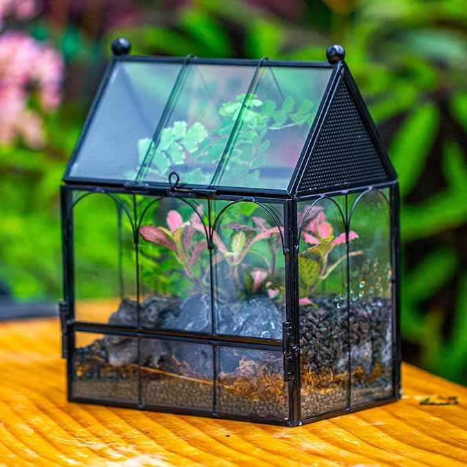 Small Glass Spider Enclosure with Mesh for Jumping Spiders, Snails, Micro House Shaped Front Opening Plant Terrarium, 5.8" x 3.8" x 7" (Terrarium Only)