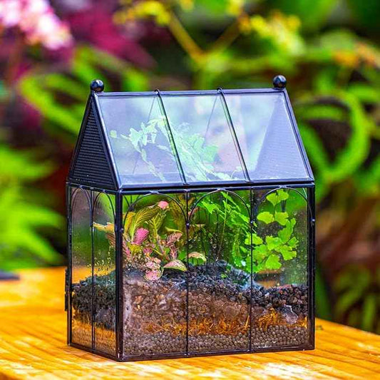 Small Glass Spider Enclosure with Mesh for Jumping Spiders, Snails, Micro House Shaped Front Opening Plant Terrarium, 5.8" x 3.8" x 7" (Terrarium Only)
