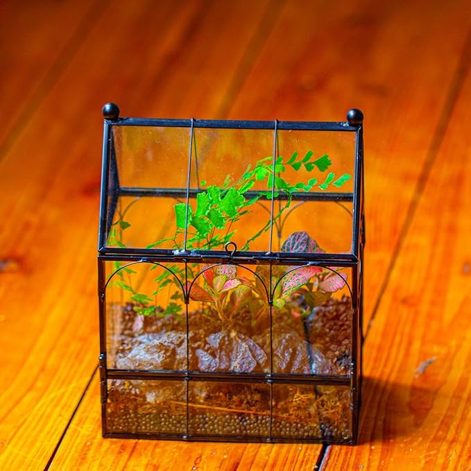 Small Glass Spider Enclosure with Mesh for Jumping Spiders, Snails, Micro House Shaped Front Opening Plant Terrarium, 5.8" x 3.8" x 7" (Terrarium Only)