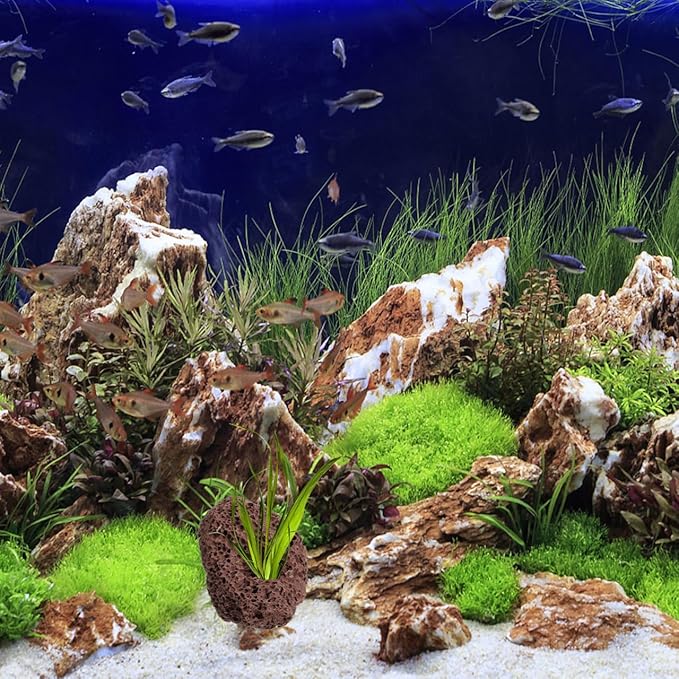 Lava Rock, 6PCS Aquarium Volcanic Stone Plant Fixer Ornaments, Double-Hole Fish Tank Rocks Ornament for Aquascaping, Fish Tank, Terrarium and Landscape Design