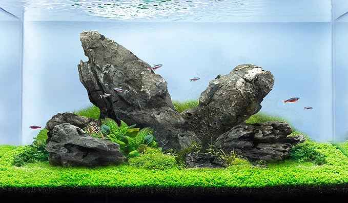 LANDEN Seiryu Stones Natural Rocks (17lbs, 3~11 inches,7-8pcs) for Aquarium, Paludarium, Terrariums, Landscaping Rocks, Aquascaping