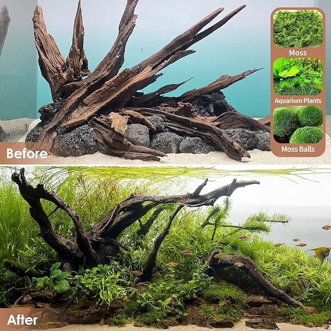 Small Aquarium Driftwood for Fish Tanks & Reptile Terrariums – 10-Piece 2-4 Inch Low Tannin
