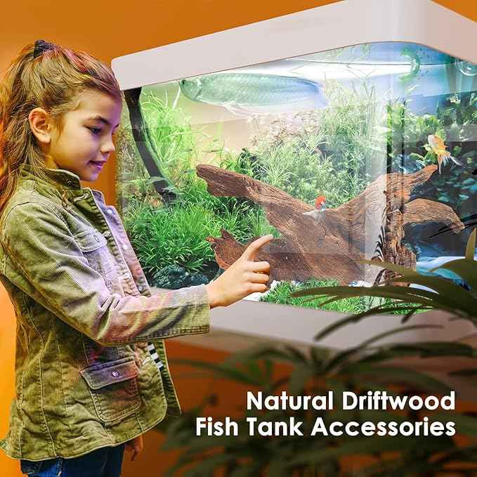 Natural Small Aquarium Driftwood for Fish Tanks & Reptile Terrariums – 100% Safe Fish Tank Decorations, Unique Twisted Branches 5-Piece 4-8 Inch Low Tannin, Easy to Sink