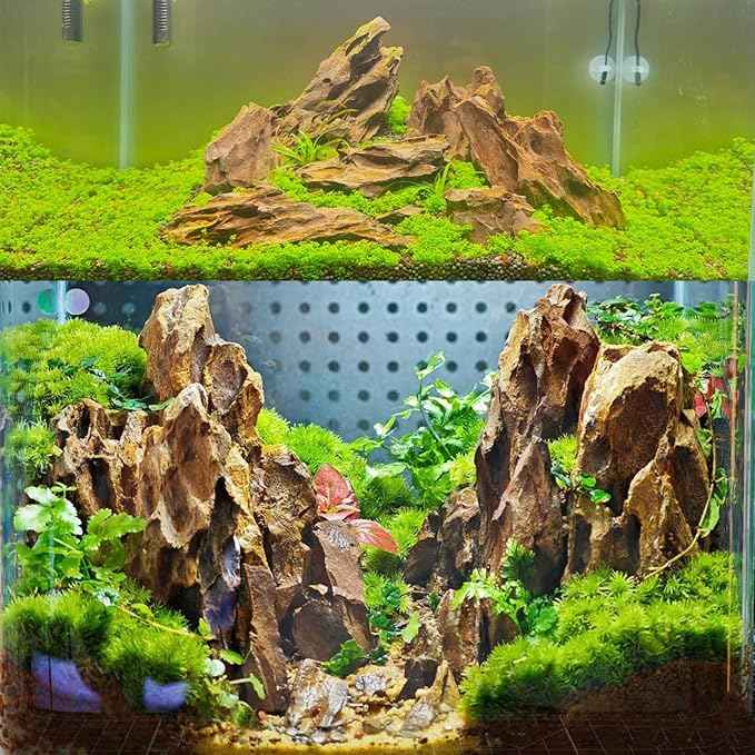 Aquarium Rocks Dragon Stone Natural Hardscape Stone for Aquariums, Fish Tanks, Bonsai, Terrariums, Wargaming Dioramas, Indoor or Outdoor Gardens-5Lb(2-6 Inch)