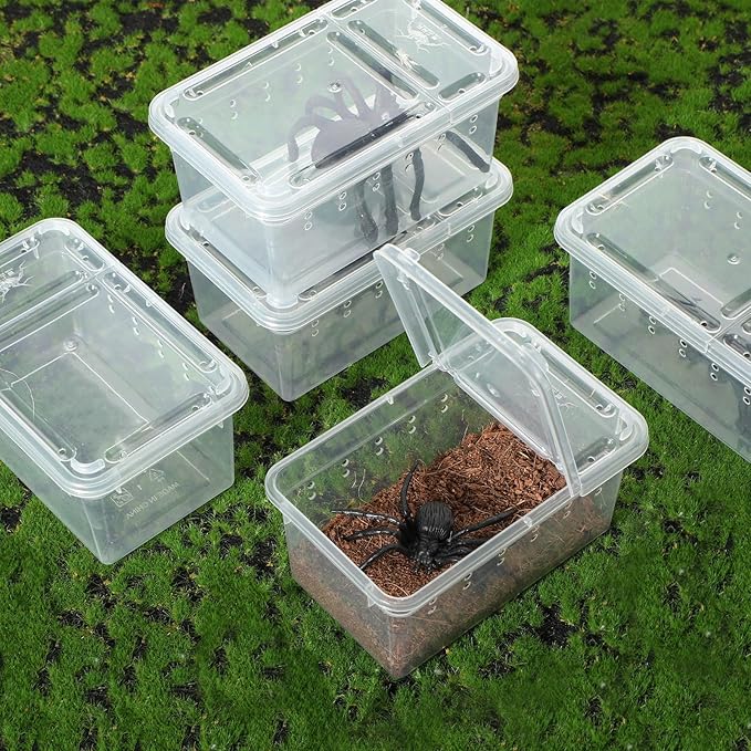 8 Pcs Plastic Spider Terrarium, Tarantula Feeding Box, Scorpion, Feeding Box for Reptiles, Amphibians, Insects (Vent Holes,4.33 x 2.76 x 2.95 Inch)