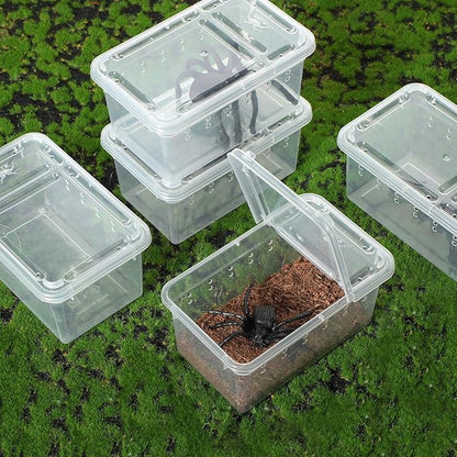 8 Pcs Plastic Spider Terrarium, Tarantula Feeding Box, Scorpion, Feeding Box for Reptiles, Amphibians, Insects (Vent Holes,4.33 x 2.76 x 2.95 Inch)
