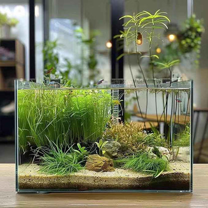 3 Gallon Fish Tank, Easy to Maintain Small Aquarium
