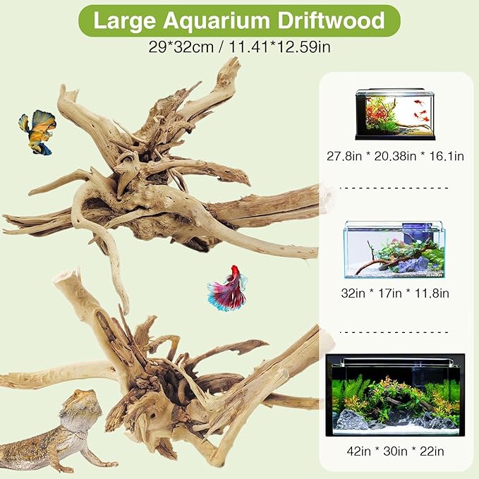 Driftwood, 11-13 inch Branches for Terrariums, Aquarium Decoration Pack of 2