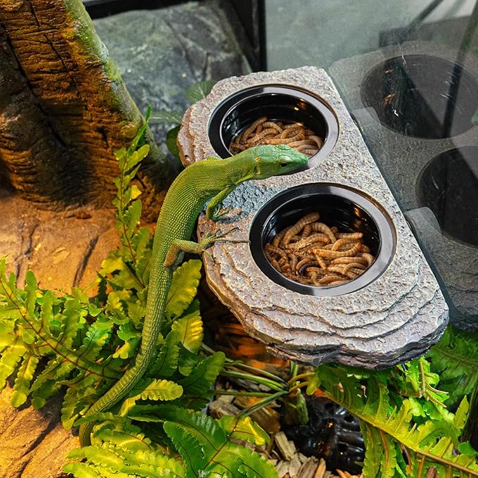 Double Magnetic Bowl Reptile Feeding Tray with 6 Feeding Cups for Geckos, Lizards, Tree Frogs