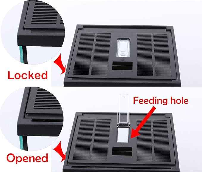 crapelles Black Small Vertical Insect GlassTerrarium, 7.8x7.8x10.8'' Reptile Tank, for Tarantula Larvae Caterpillar Frog Snail Spider Hermit Crab Habitat Container House Cricket Breeding Box