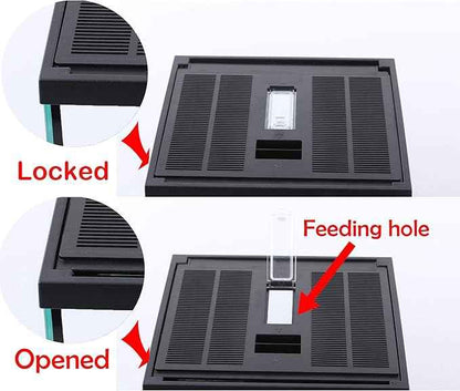 crapelles Black Small Vertical Insect GlassTerrarium, 7.8x7.8x10.8'' Reptile Tank, for Tarantula Larvae Caterpillar Frog Snail Spider Hermit Crab Habitat Container House Cricket Breeding Box