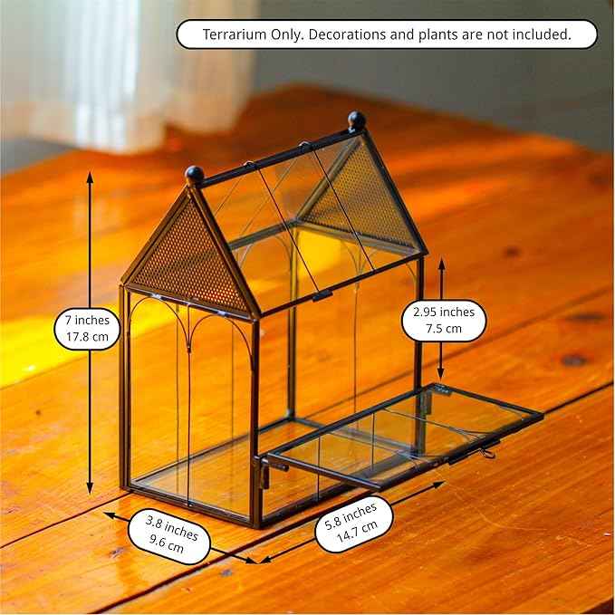Small Glass Spider Enclosure with Mesh for Jumping Spiders, Snails, Micro House Shaped Front Opening Plant Terrarium, 5.8" x 3.8" x 7" (Terrarium Only)