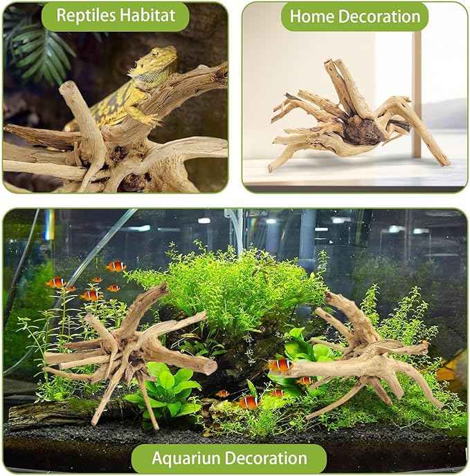 Driftwood, 11-13 inch Branches for Terrariums, Aquarium Decoration Pack of 2